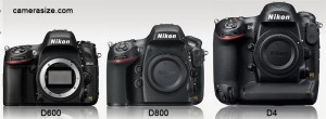 D600 vs D800 vs D4