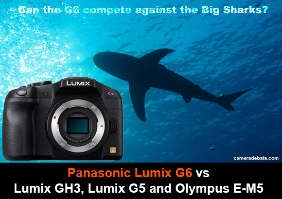 Panasonic Lumix G6 camea and shark swimming in the background