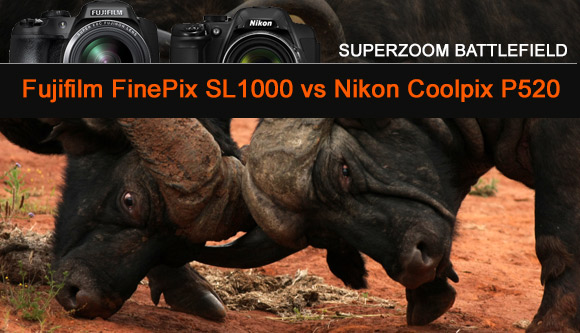 Two bulls head to head, Nikon P520 and Fujifilm SL1000 cameras