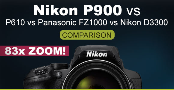 Nikon P900 vs P610, FZ100 and D3300